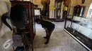 Pengunjung melihat benda-benda bersejarah di Istana Siak Sri Indrapura, Riau, Kamis (21/7). Istana Siak Sri Indrapura adalah istana peninggalan Kesultanan Siak yang merupakan kerajaan Islam terbesar di Riau.(Liputan6.com/Faizal Fanani)