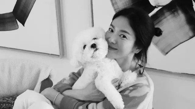 [Liputan] Suzy dan Song Hye Kyo