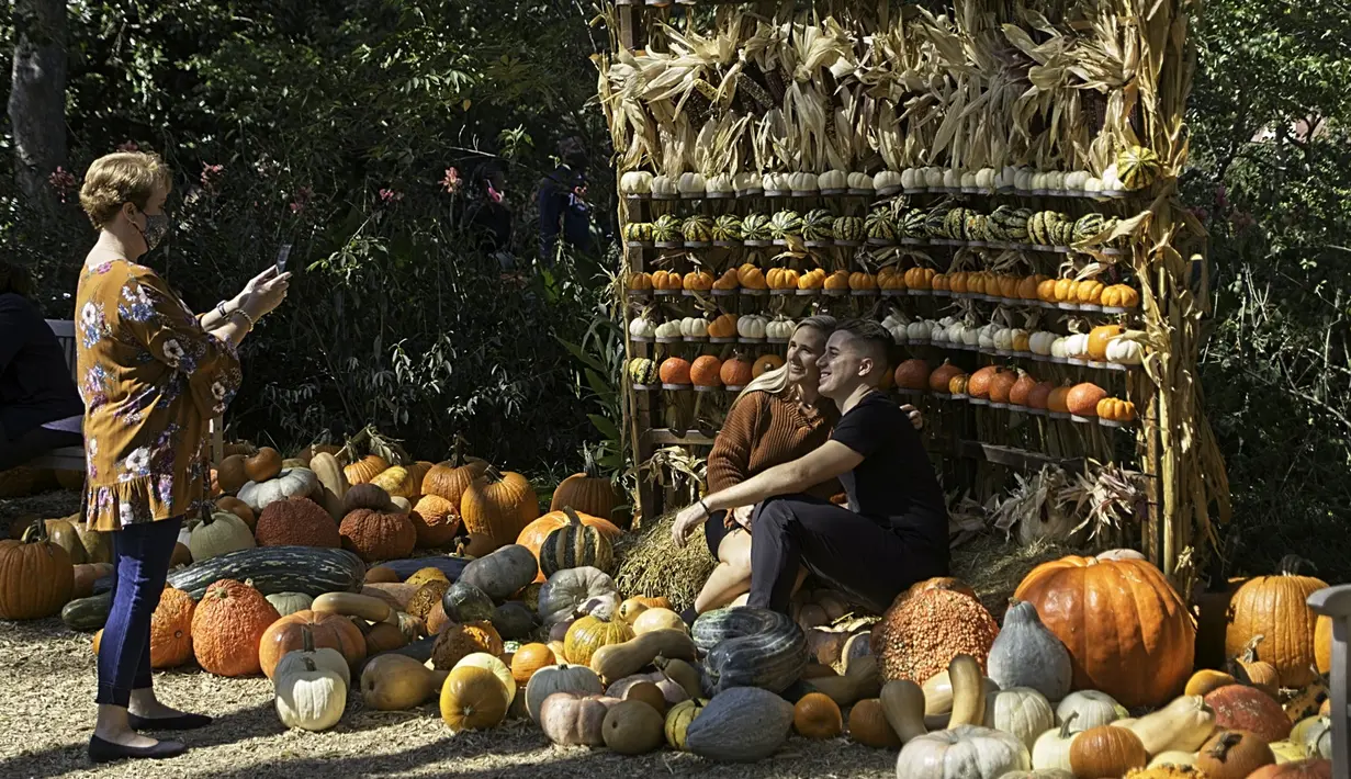 Seorang wanita mengabadikan foto di Desa Labu Dallas Arboretum, Texas, Amerika Serikat, 4 Oktober 2020. Desa Labu di Dallas Arboretum yang mendapat pengakuan nasional menghadirkan rumah-rumah labu dan berbagai objek kreatif dari 90.000 lebih labu, kundur, dan squash. (Xinhua/Dan Tian)