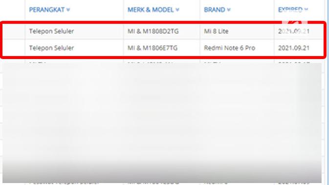 Xiaomi Mi 8 Lite dan Redmi Note 6 Pro kantongi sertifikat postel. Liputan6.com/ Yuslianson