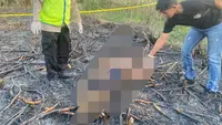 Petani Ditemukan Tewas Terbakar di Ladang Tebu Pati