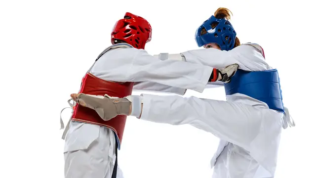 Ilustrasi taekwondo