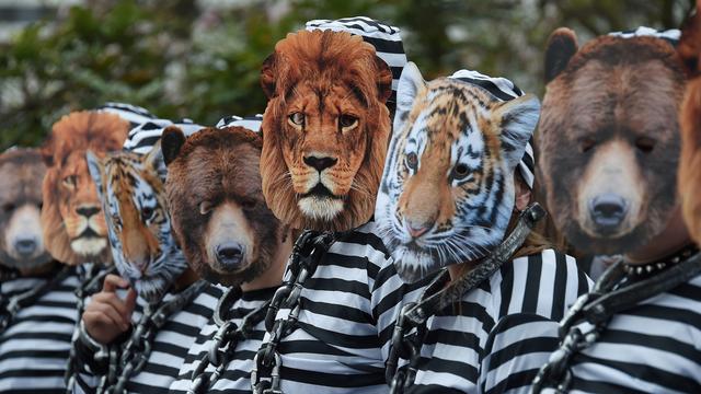 4 Fakta Mengejutkan Sirkus Termasuk Pembunuh Presiden As Abraham Lincoln Global Liputan6 Com