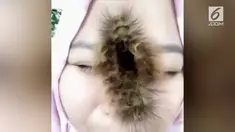 Ulat bulu merambat di wajah wanita ini, sukses membuat warganet geli.