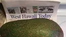 Buah alpukat super jumbo yang ditemukan oleh Pamela Wang di Kealakekua, Hawaii, 28 November 2017. Meski besar, namun alpukat ini bukanlah alpukat terbesar di dunia. Hanya saja, bisa jadi ini adalah alpukat terberat di dunia. (facebook.com/pamela.b.wang)