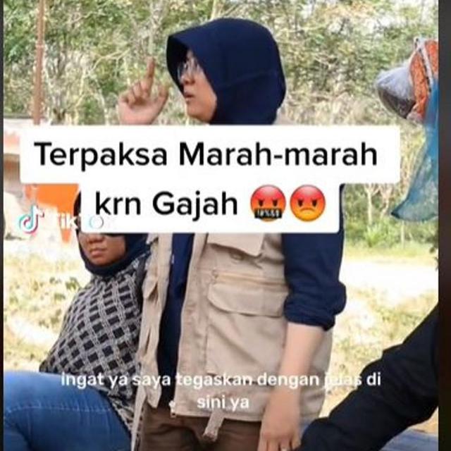 Pegawai KLHK yang Bela Gajah Lewati Pemukiman Penduduk di Riau Tuai Dukungan Warganet