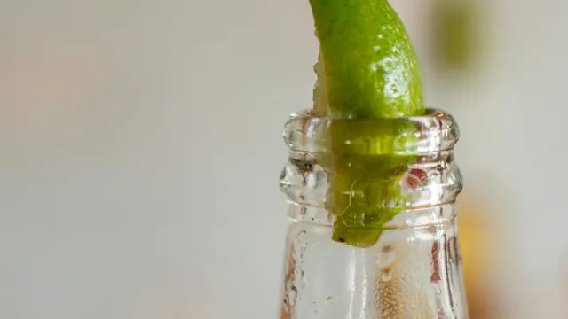 Jeruk Nipis, Kecil-Kecil Cabe Rawit