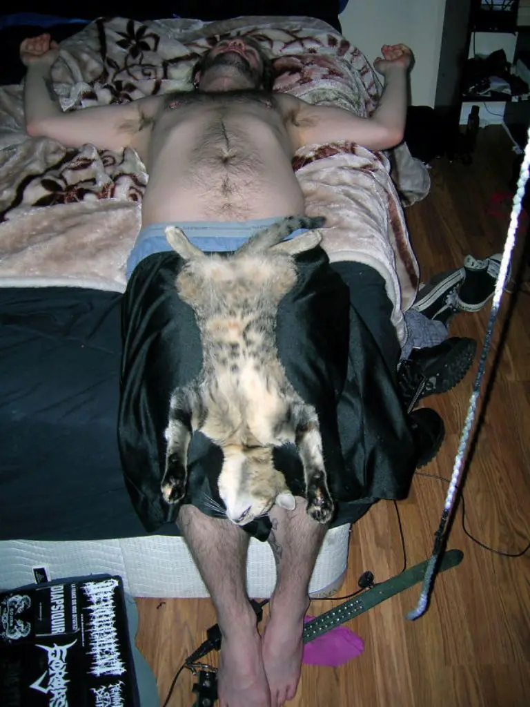 Bebas! (Sumber foto: boredpanda.com)