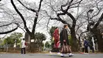 Orang-orang berjalan di Pemakaman Yanaka yang dikelilingi oleh pohon sakura di distrik Taito, Tokyo, Jepang (26/3). Memasuki akhir Maret, pohon bunga sakura mulai bermekaran di sejumlah wilayah Jepang. (AFP Photo/Charly Triballeua)
