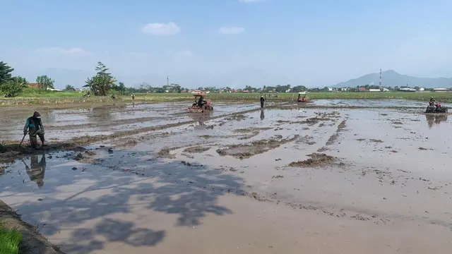 Kementan