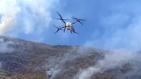 Kebakaran Gunung Bromo Tembus 86 Hektatr, BPBD Jatim Terjunkan Drone Weter Spray