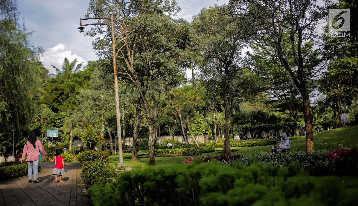 Suasana Taman Tabebuya, Jagakarsa, Jakarta, Kamis (14/3). Dinas Kehutanan DKI Jakarta menganggarkan Rp 130 miliar untuk membangun 53 Taman Maju Bersama (TMB) di tahun 2019. (Liputan6.com/Faizal Fanani)