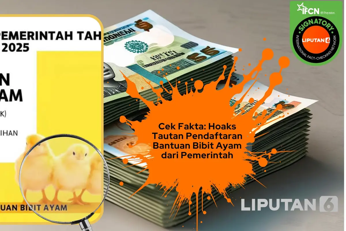 Cek fakta tautan pendaftaran bantuan bibit ayam dari Kementan