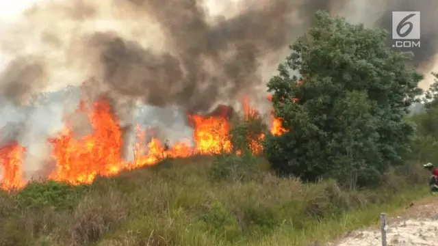 Puluhan hektar lahan gambut dan semak belukar disekitar komplek perkantoran pemerintah kota Palangka Raya, Kalimantan Tengah, terbakar hebat hingga merembet ke badan jalan.