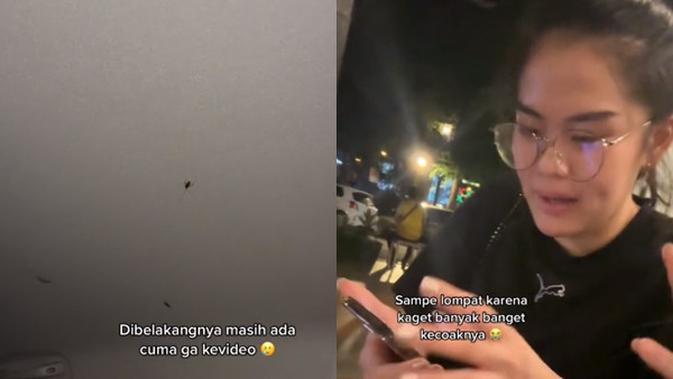 Gerai taksi online penuh dengan kecoak (TikTok/@sherenkhou_)