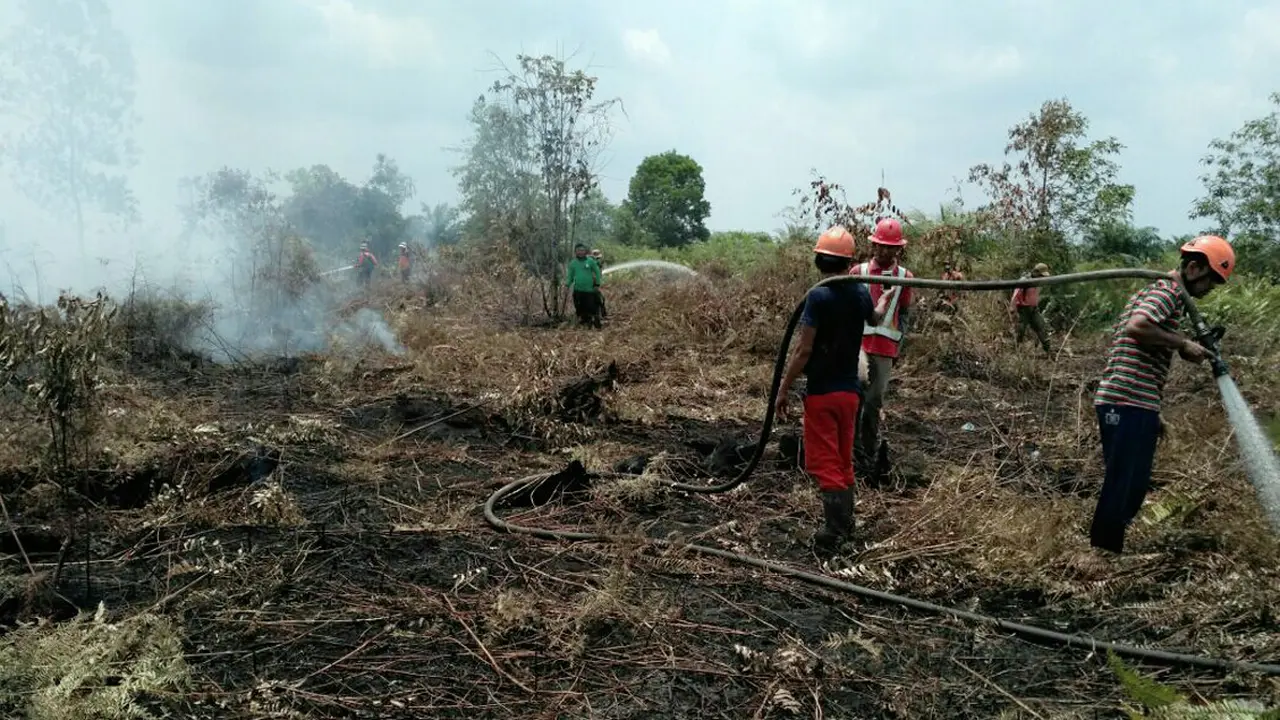 Karhutla Riau