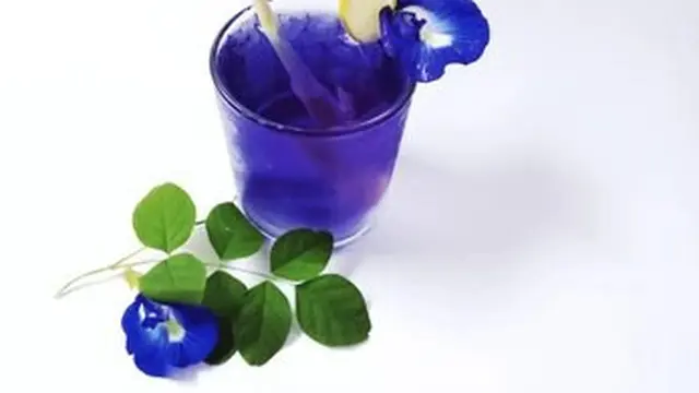 Rebusan Bunga Telang dengan Serai