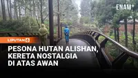 Pesona Hutan Alishan dan Kereta Legendaris di Pegunungan Taiwan