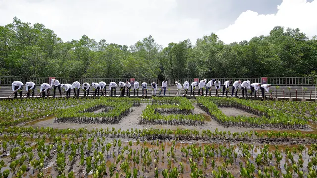 Pemimpin Dunia Tanam Mangrove Bersama di Sela KTT G20