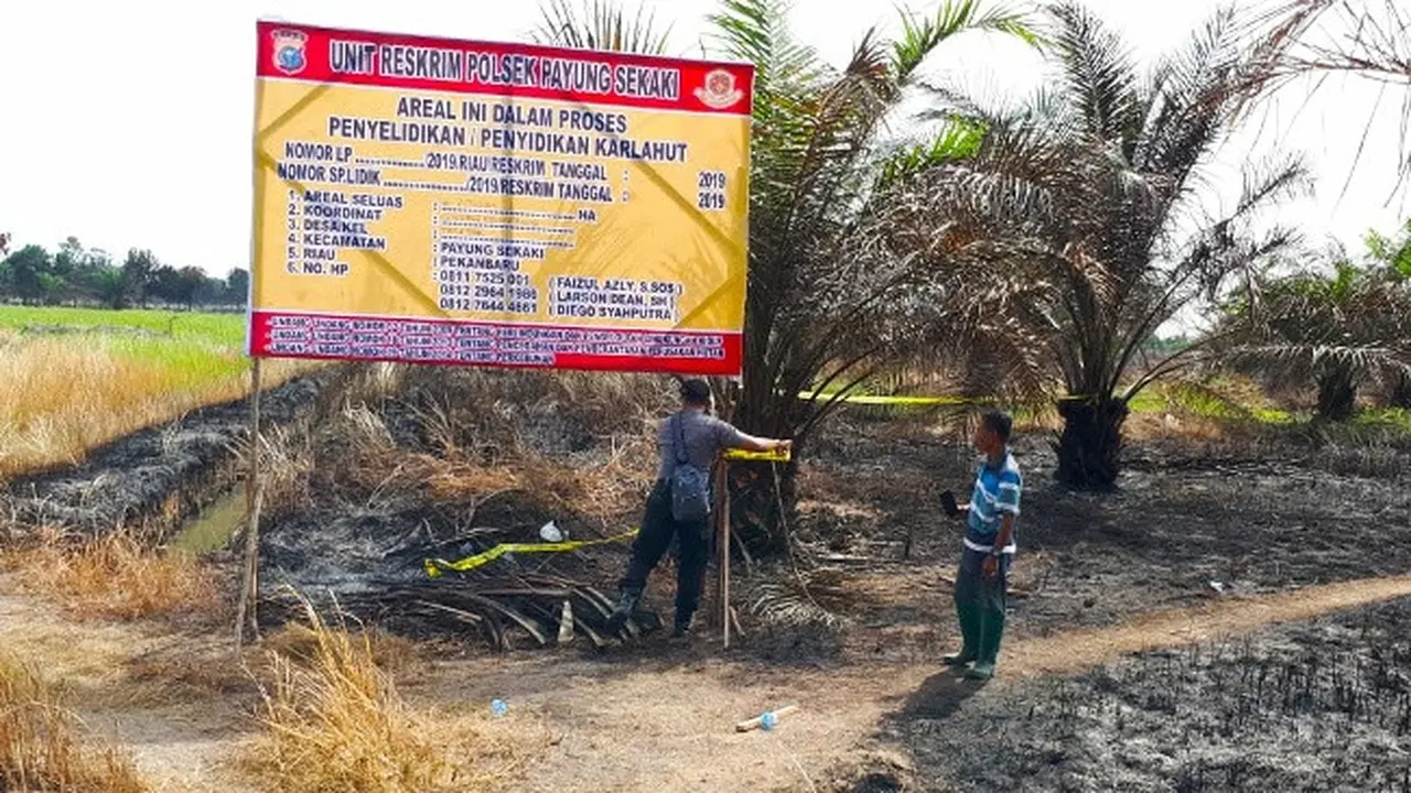 Polisi menyegel lahan bekas terbakar di Kecamatan Payung Sekaki, Pekanbaru.
