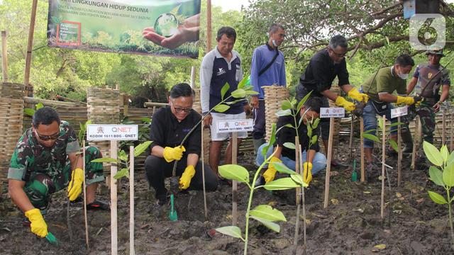Dukung KTT G20, 2.000 Bibit Bakau Ditanam di Hutan Raya Ngurah Rai Bali