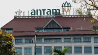 Lowongan Kerja Lewat Program ANTAM IMPACT, Cek Syarat hingga Jadwal Pendaftaran