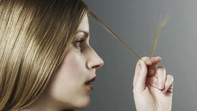 Bisa Coba di Rumah, Ini 3 Cara Mudah Hilangkan Rambut Bercabang