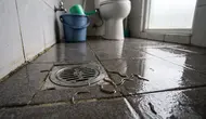 Cara Mengatasi Cacing yang Muncul di Kamar Mandi, Ketahui Penyebab dan Pencegahannya