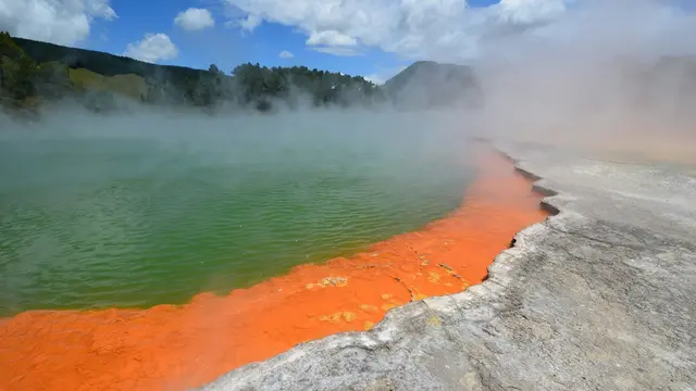 Champagne Pool