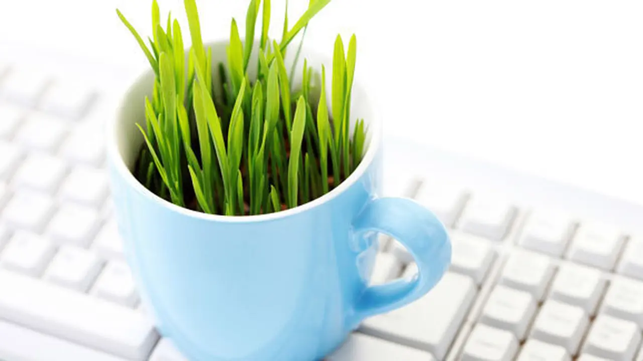 Foto: Copyright Shutterstock.com