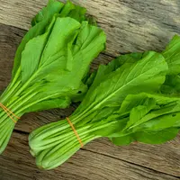 berbagai manfaat sawi/shutterstock/arif relano oba