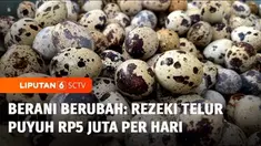 Seorang pria asal Magelang, jatuh bangun mengembangkan bisnis telur puyuh. Sempat nyaris gulung tikar, usahanya kini berkembang pesat, hingga akhirnya bisa menghasilkan cuan yang luar biasa. Berikut adalah Berani Berubah, episode Rezeki Telur Puyuh R...