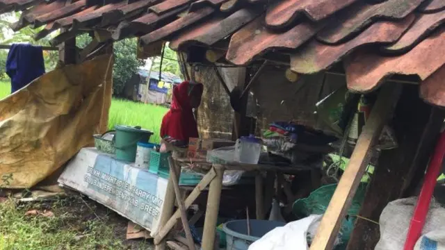 Derita Nenek Sebatang Kara Hidup di Gubuk Tengah Sawah