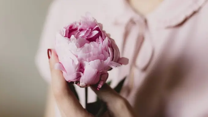 Foto: copyright pexels.com