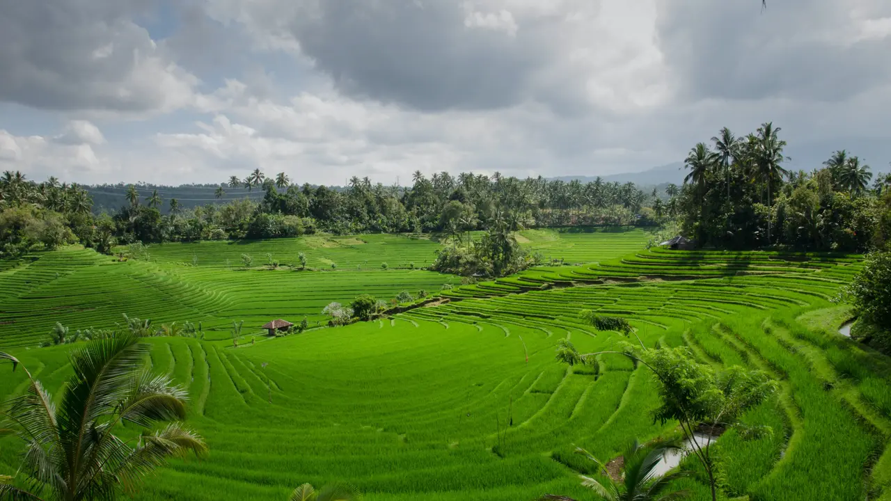 Kata Bijak Singkat Bermakna tentang Alam Indonesia