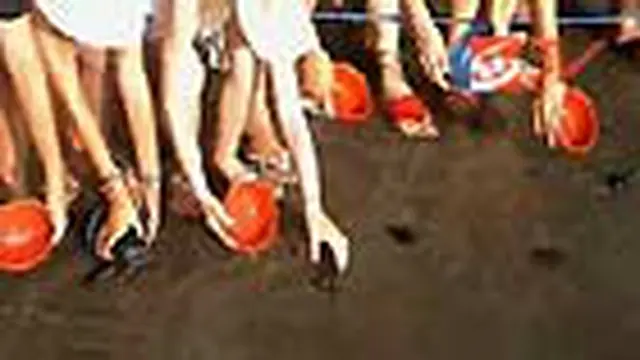 Ratusan Wisatawan di Kuta Lepas Anak Penyu