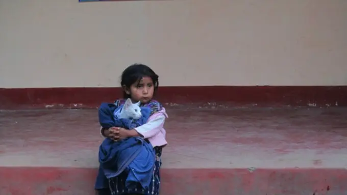 10 Foto Interaksi Hewan dan Manusia Bakal Bikin Hatimu Hangat