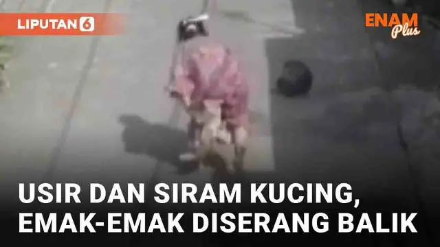 Bagi sebagian orang, keberadaan kucing dianggap mengganggu. Bahkan tak jarang sampai mengusir kucing dengan menakut-nakuti. Seperti aksi emak-emak yang terekam CCTV berikut. Seperti aksi nekat emak-emak yang terekam CCTV berikut.