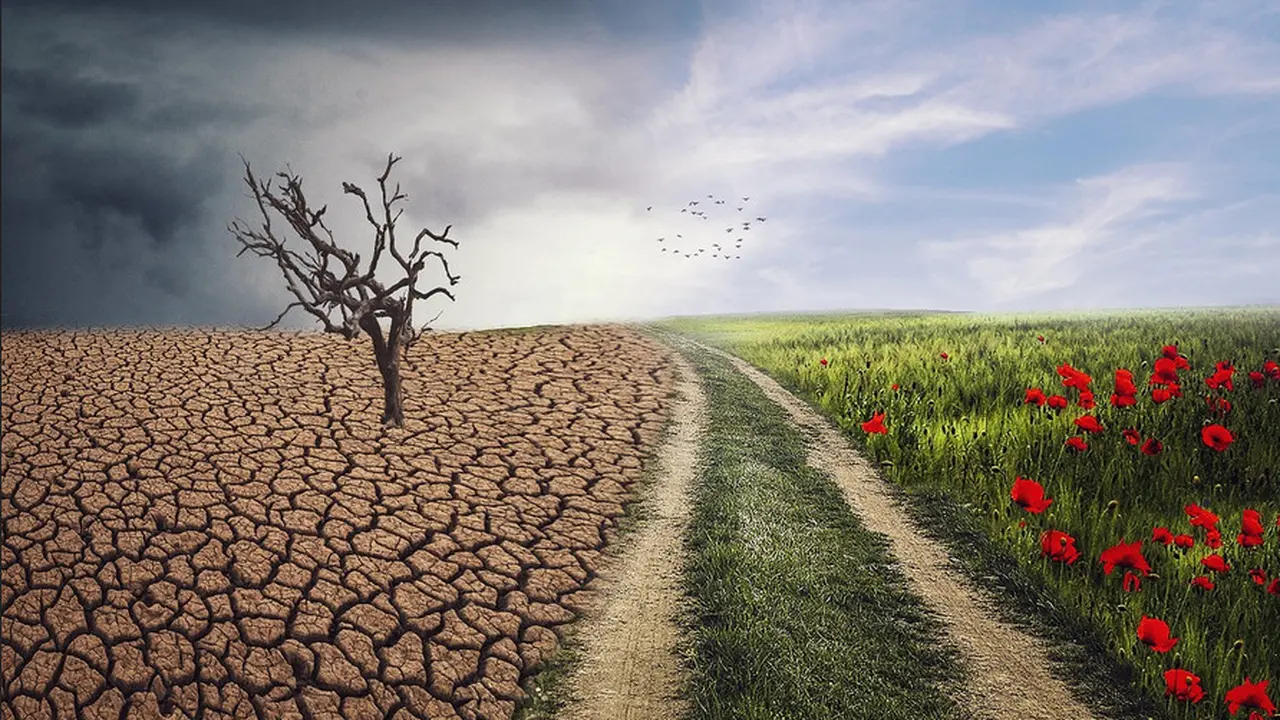 Climate Chane. Pixabay.