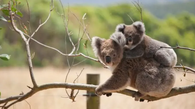 Foto: copyright Thinkstockphotos.com