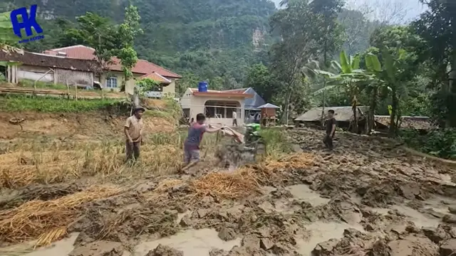 Suasa Kampung Halaman Lesti Kejora/Youtube Ayah Kejora Channel