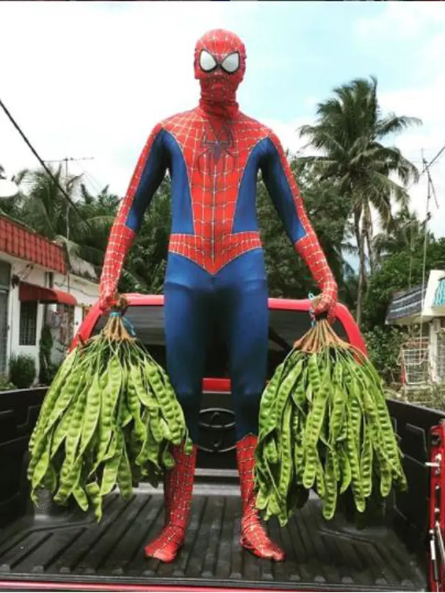 Jual Petai Pakai Kostum Spiderman