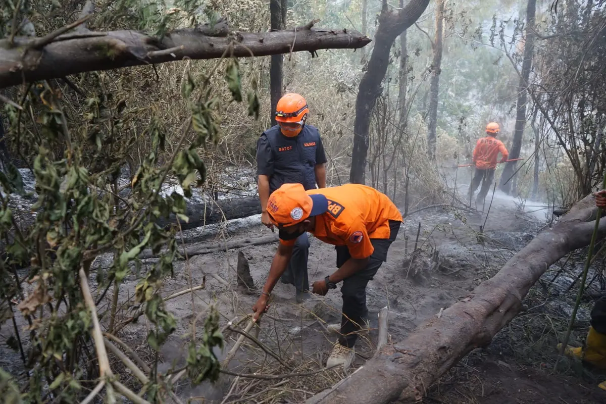 Petugas gabungan melakukan pemadaman kebakaran di Gunung Bromo. (Dian Kurniawan/Liputan6.com)