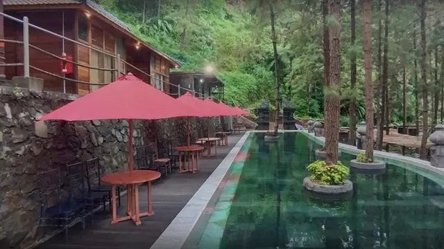Wisata Guci Forest.