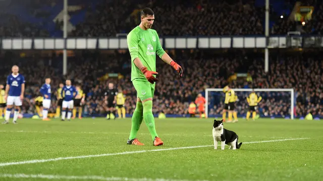 Joel Robles