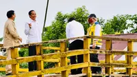 Presiden Joko Widodo (kedua kanan) berbincang dengan Menteri Pertahanan Prabowo Subianto (kiri) saat meninjau lahan yang akan dijadikan "Food Estate" atau lumbung pangan baru di Pulang Pisau, Kalimantan Tengah, Kamis (9/7/2020). (Foto:Biro Pers Sekretariat Presiden)