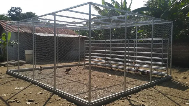 Kandang Ayam dari Besi Siku Lubang Model Jemur atau Umbaran Terbuka