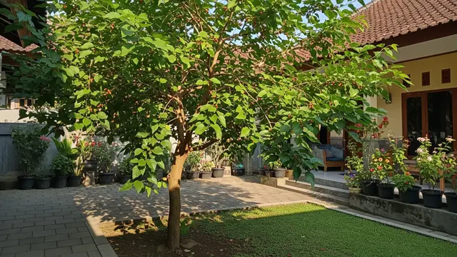 14 Pohon Buah yang Tidak Mudah Diserang Ulat Daun, Pilihan untuk Kebun Organik