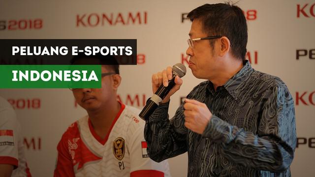 Ketua Asosiasi E-Sports Indonesia, Eddy Lim, bicara peluang tim Indonesia di Asian Games 2018.