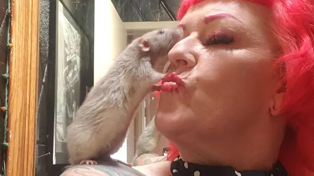 Wanita Pelihara Tikus